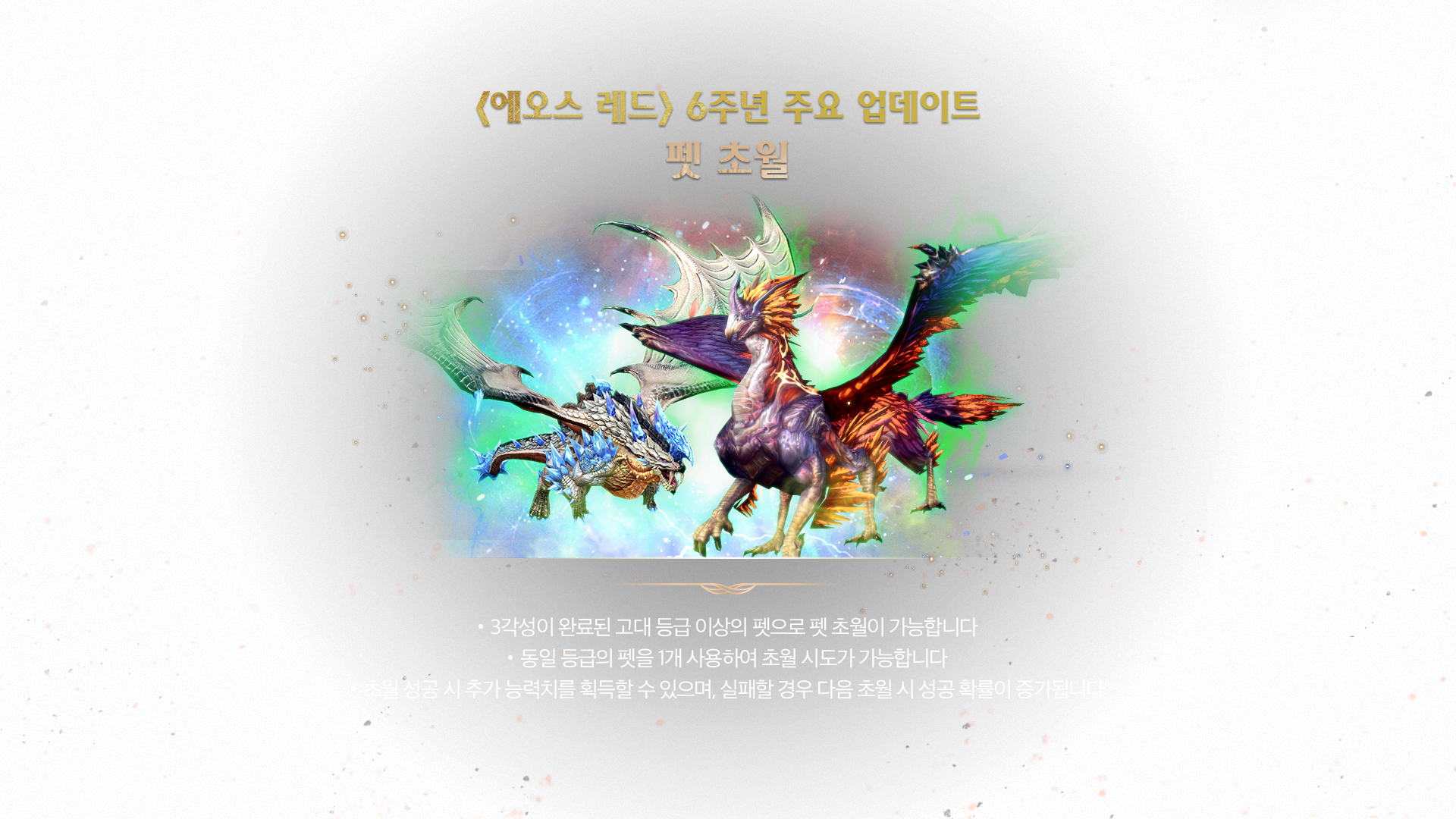 펫 초월